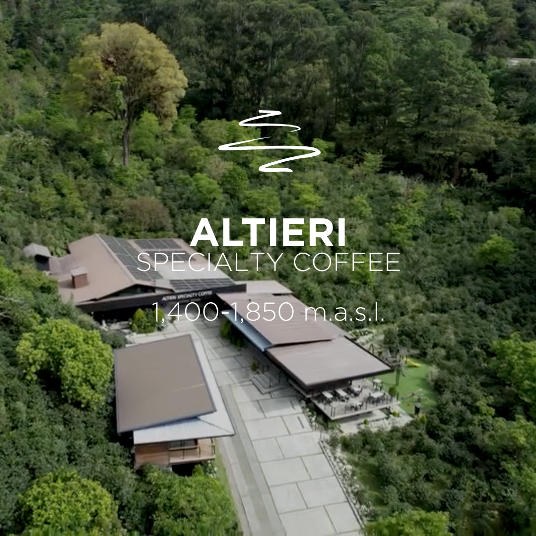 Altieri’s Trio of Geishas