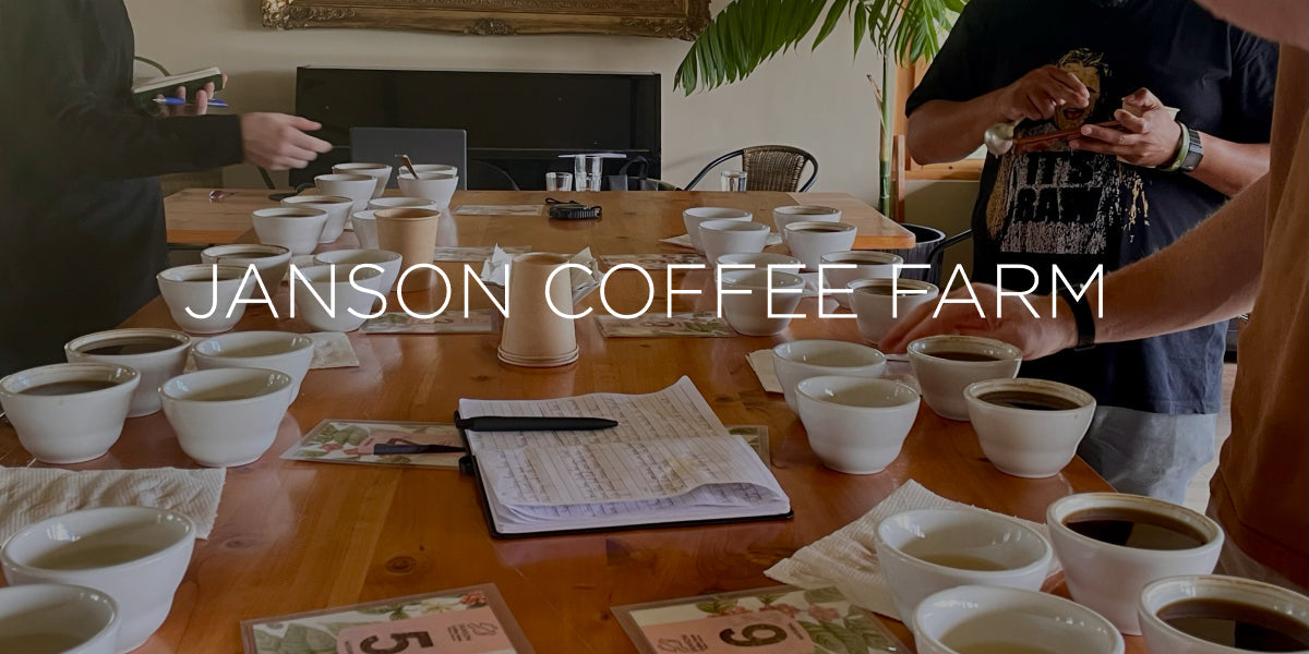 Dispatch 01 — Garden, Weather, and the Care Behind Geisha