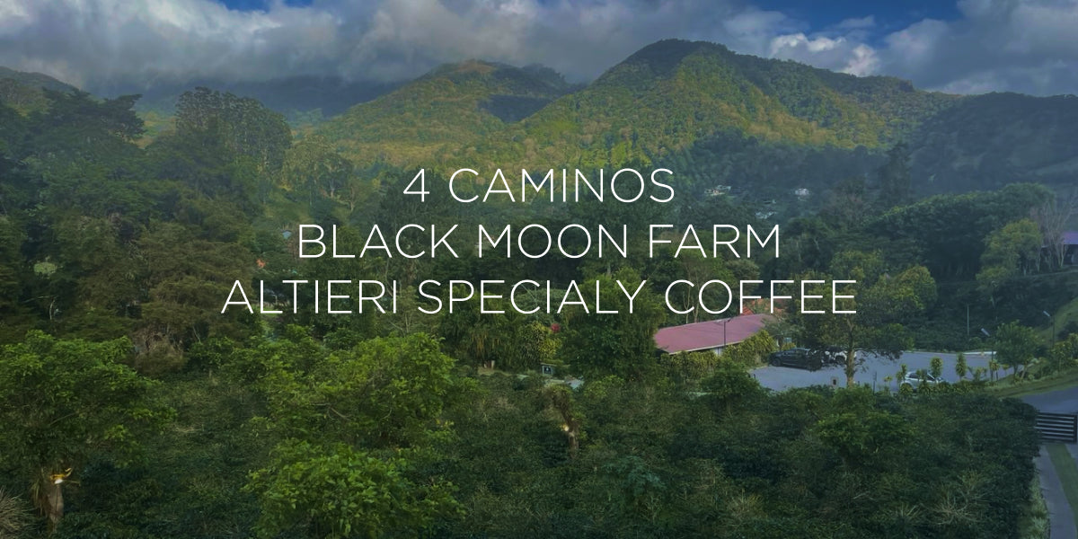 Dispatch 05 — An Afternoon of Coffees Across Boquete