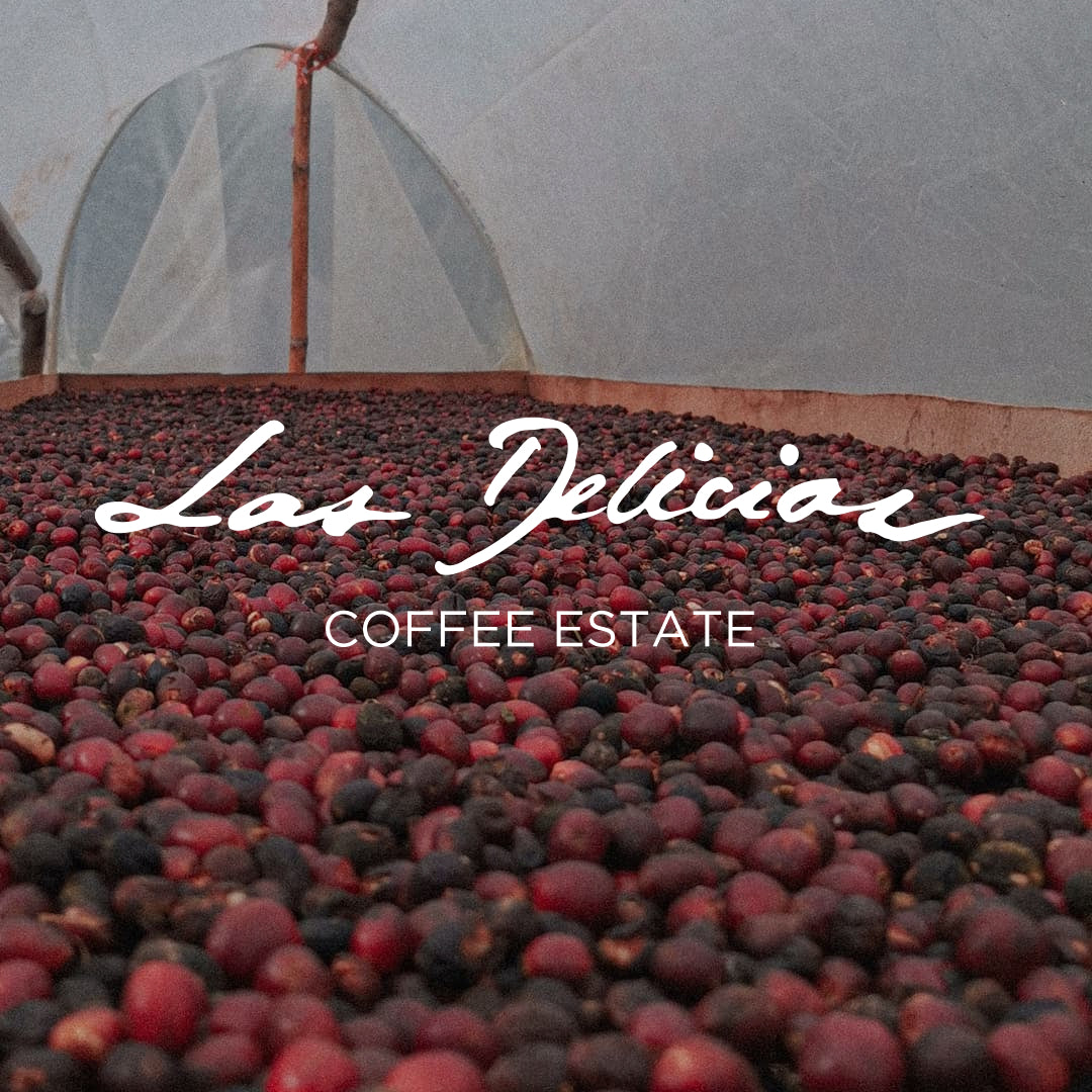 Delightful brews for the holiday season