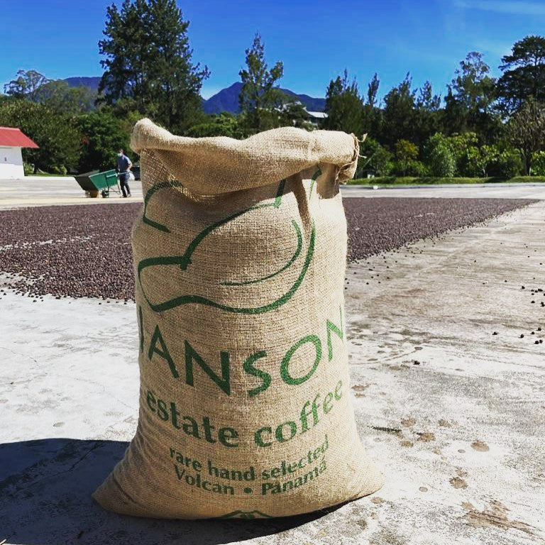Janson Geisha Washed – Hacienda 134