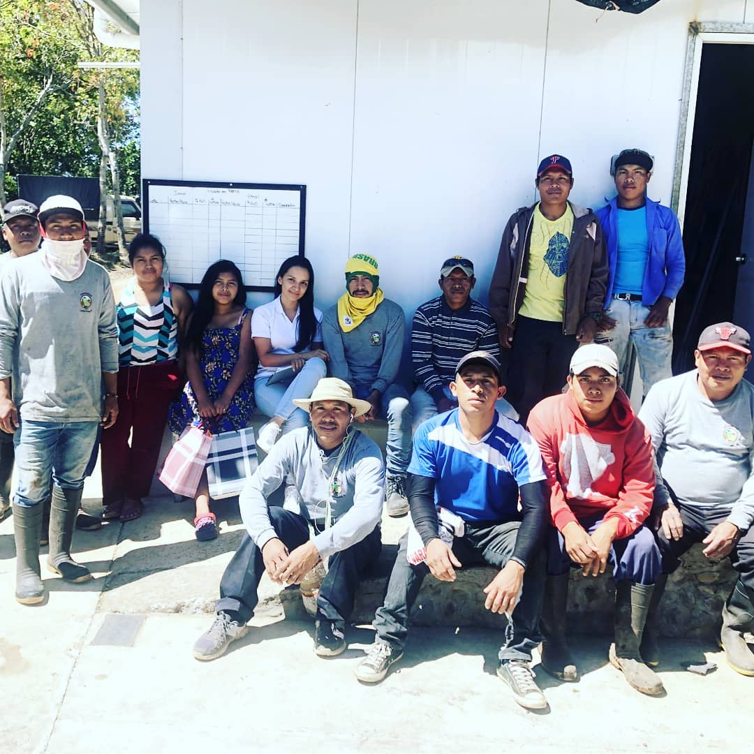 Cuatro Caminos Coffee Estates – Caturra Natural - Jaramillo