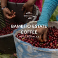 Bambito Estate Coffee Geisha Washed