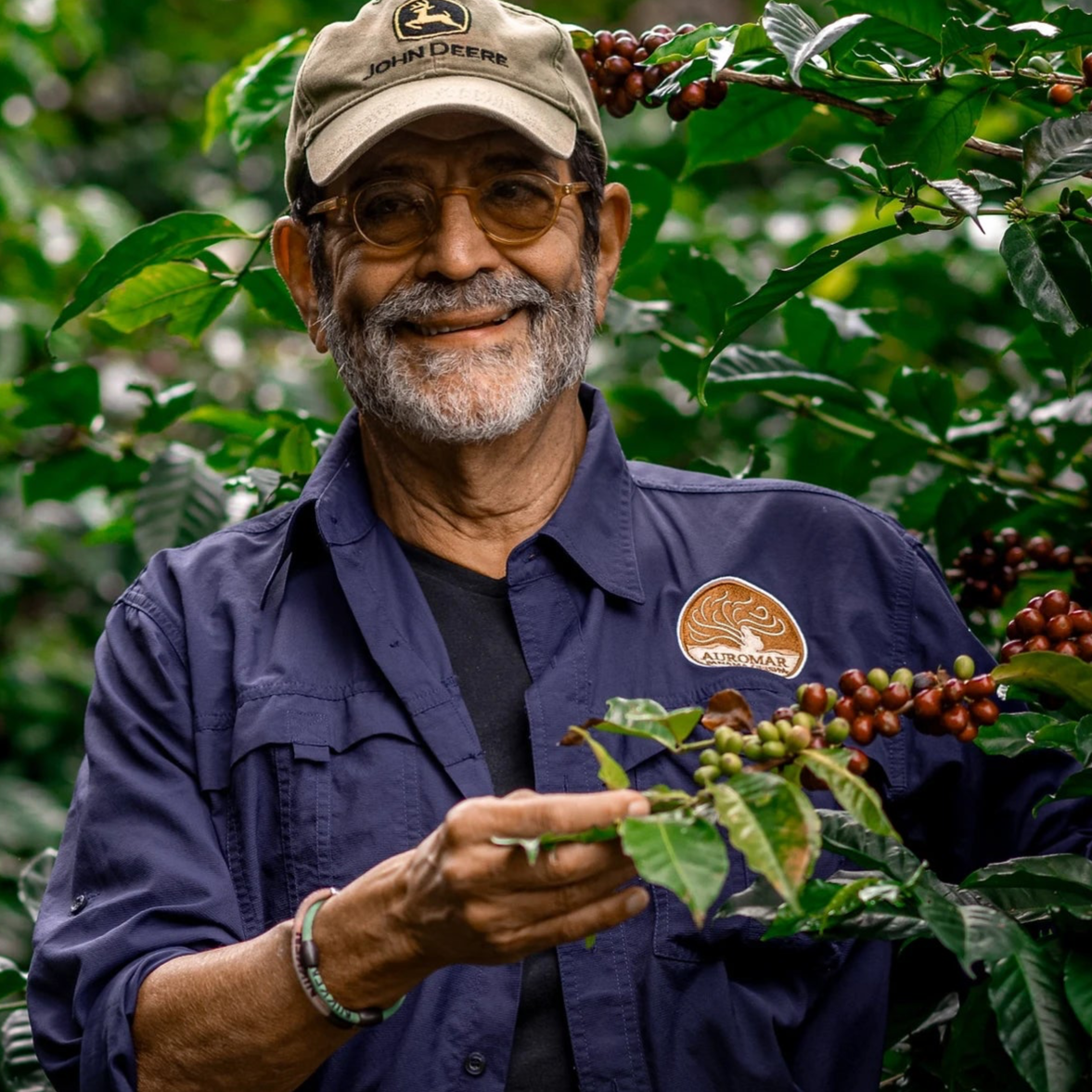 Auromar Estate Pacas Natural