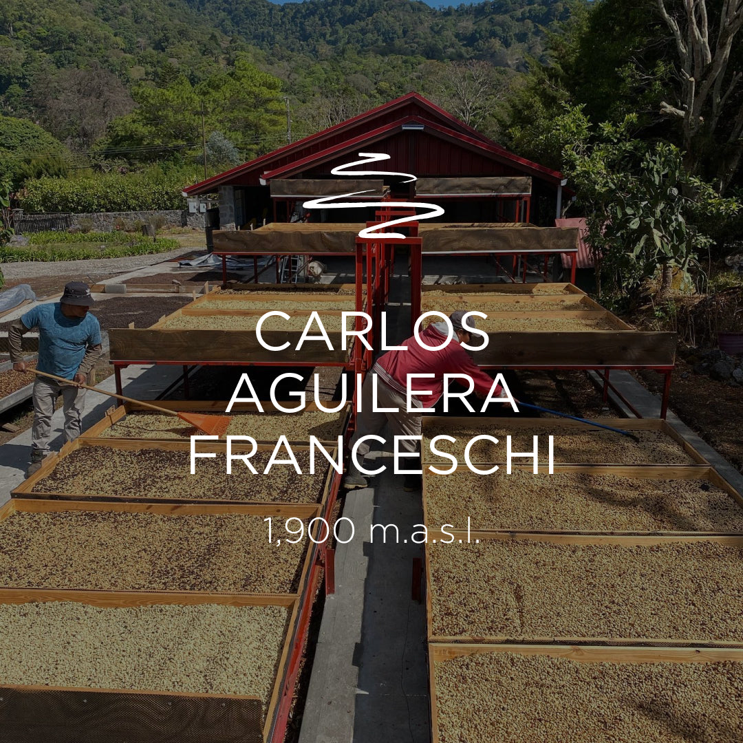Carlos Aguilera Franceschi Geisha Washed LOT 214