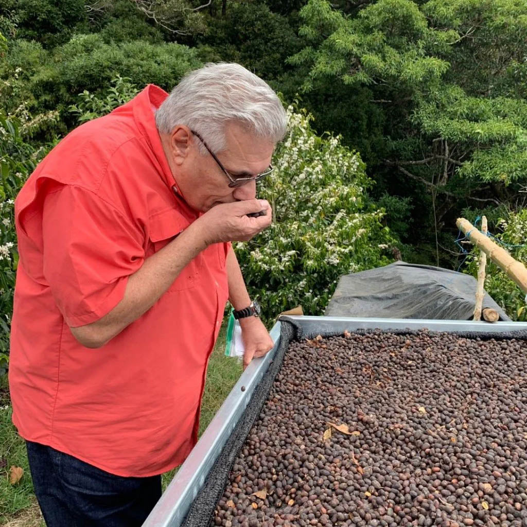 Altieri Ale Geisha Washed