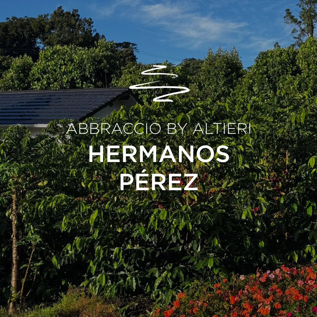 ABBRACCIO by Altieri – Hermanos Pérez Geisha Natural DFC Plano 070126