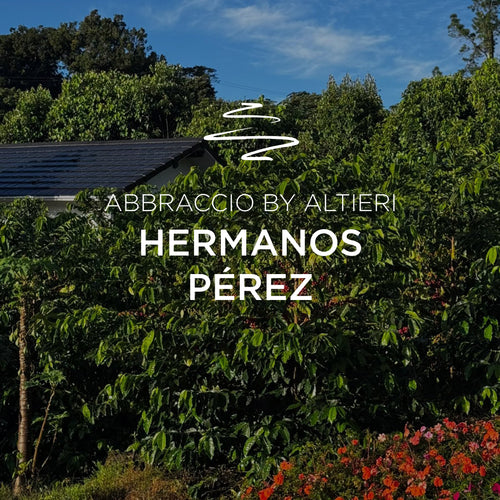 ABBRACCIO by Altieri Hermanos Pérez Geisha Natural DF Loma 170126
