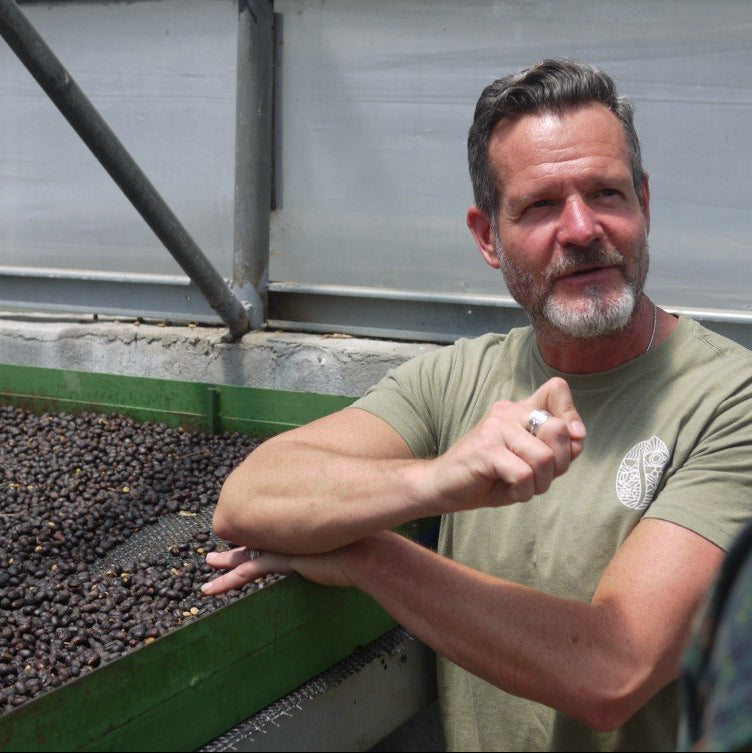 Man in a greenhouse examining coffee beans