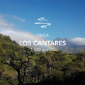 Finca Los Cantares Geisha Natural