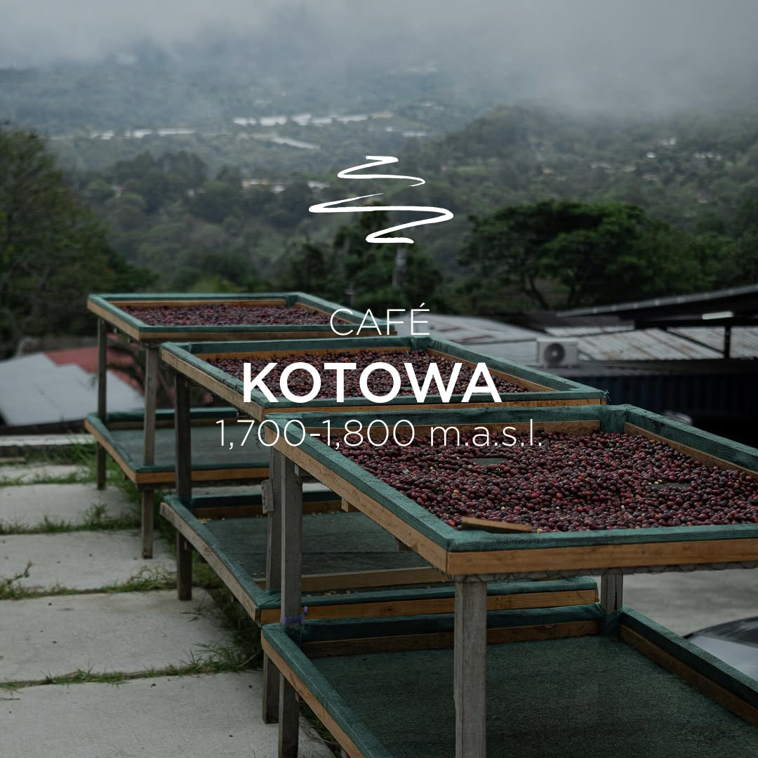 Kotowa Ethiopian Natural 3963