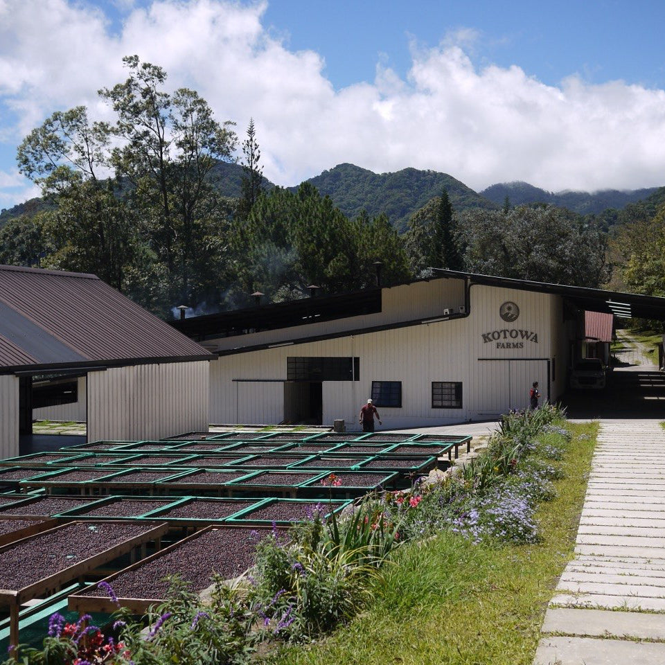 Building with outdoor drying racks and mountainous background