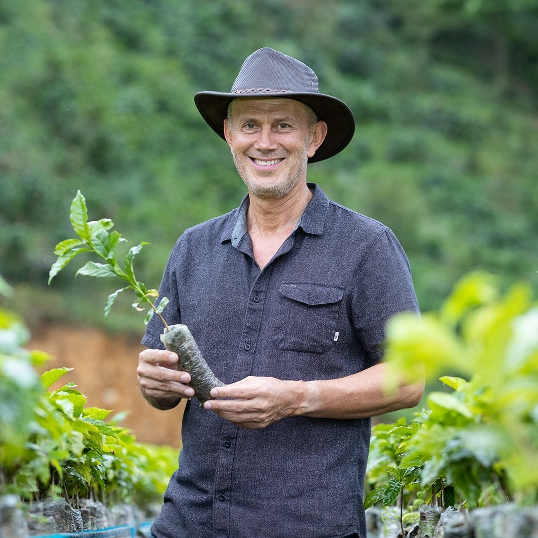 Man holding a coffee plant in a nursery setting
