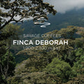 Deborah Geisha Natural Extended Carbonic Macerated, Washed Finish ARIL