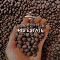 Iris Estate Geisha Natural Nitrogen Macerated NIRVANA