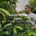 Black Moon Chiroso Alto Quiel 27ENE