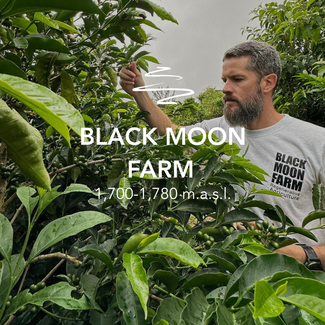 Black Moon Chiroso Anaerobic – Lot 78