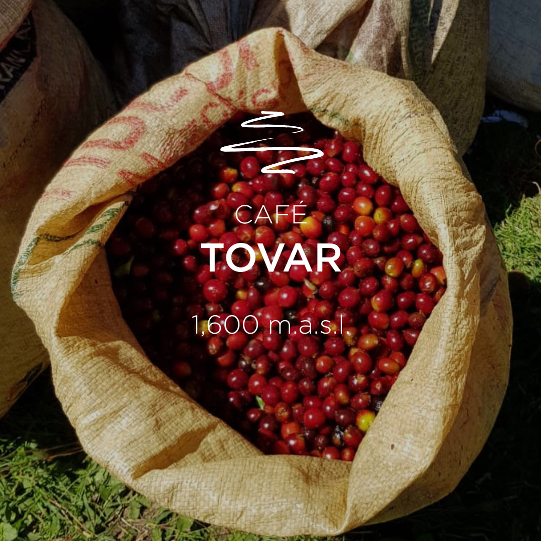 Tovar Estate Bougainvillea Geisha Washed