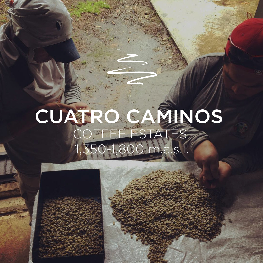Cuatro Caminos Coffee Estates – Caturra Natural - Jaramillo