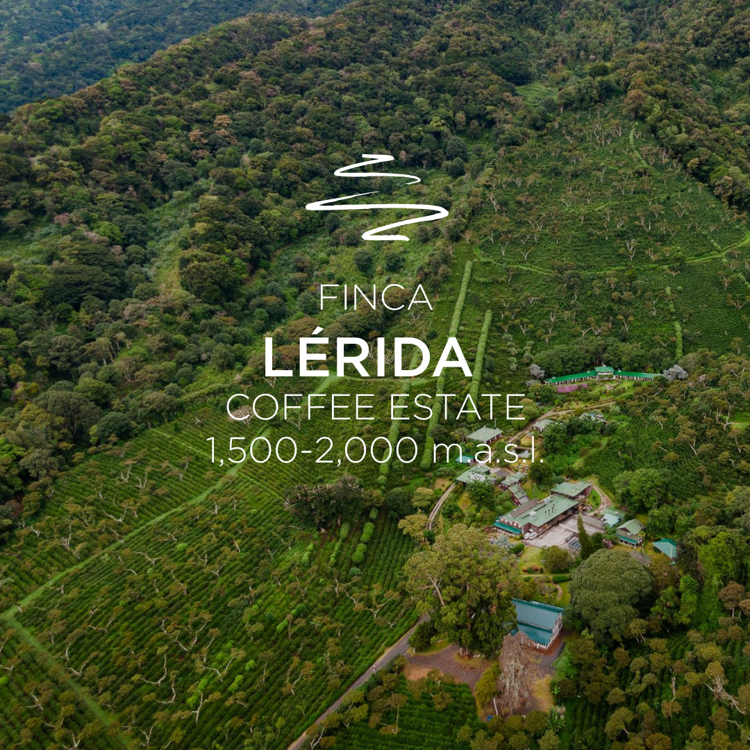 Finca Lérida – Esplendorosa Geisha Washed Lot 0422