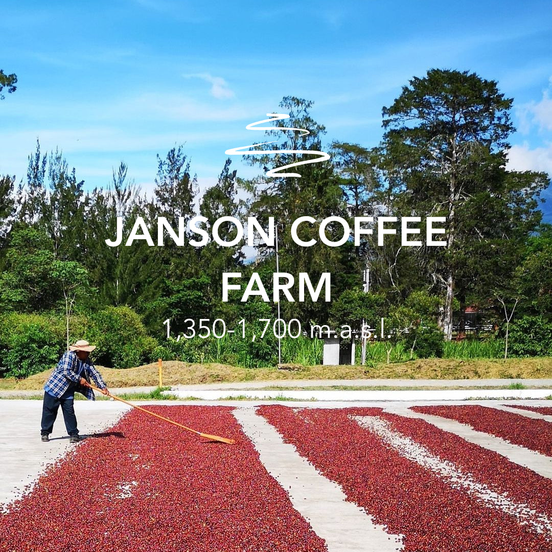 Janson Geisha Washed – Hacienda 134