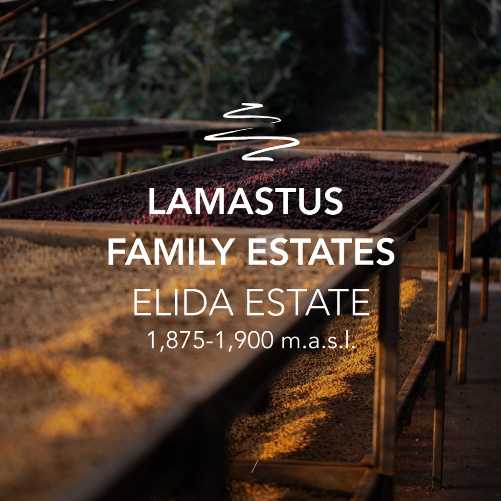 Lamastus Elida Geisha Washed Cold Room Dry FALDA 060326
