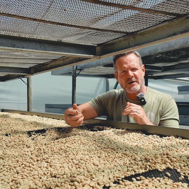 Man standing over a large pile of coffee beans in an indoor setting